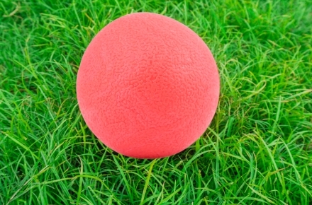 Kickball in the grass